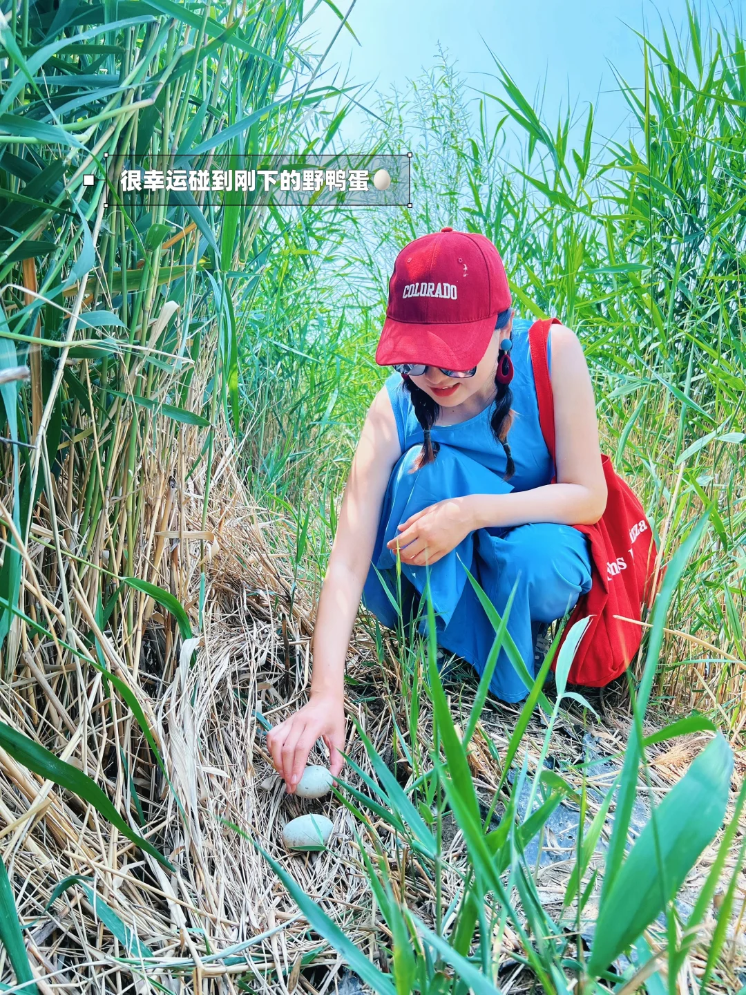 不是三亚去不起，而是京边“海”有性价比❗️