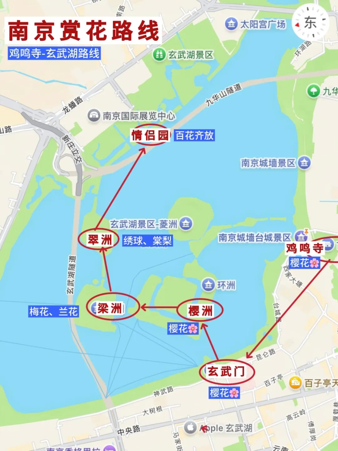 3-5月来南京🔥两天一夜省心游玩攻略✅