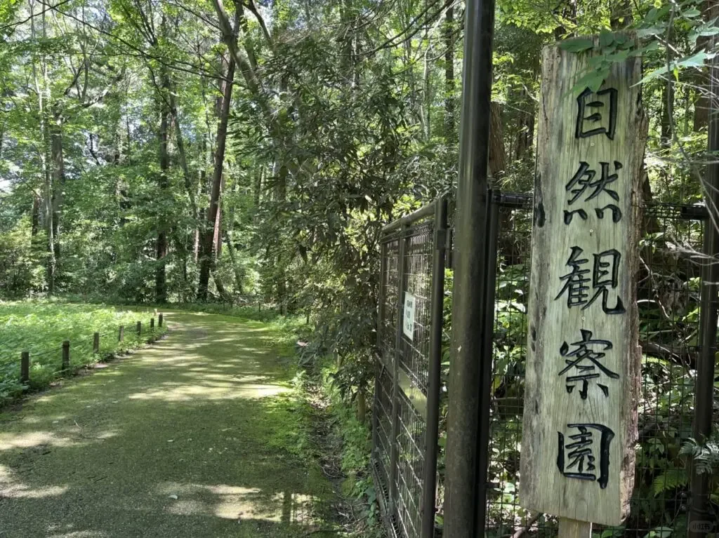 【6月6日·13日】东京免费赏萤圣地推荐