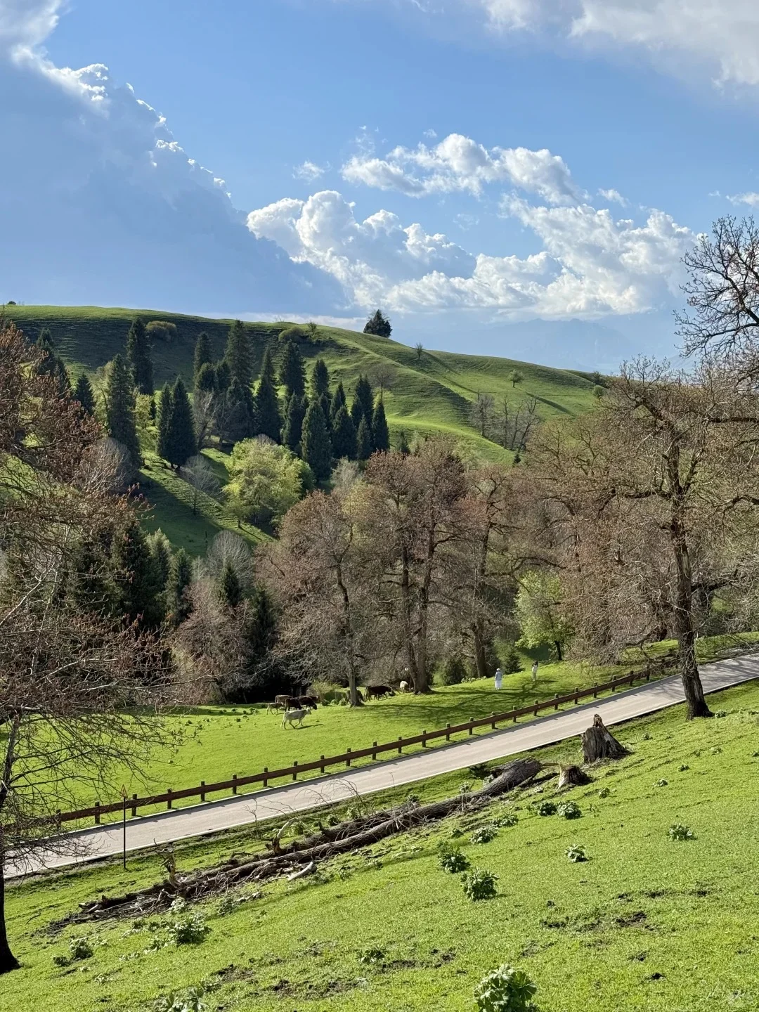 真心劝大家去新疆时别化妆了😭