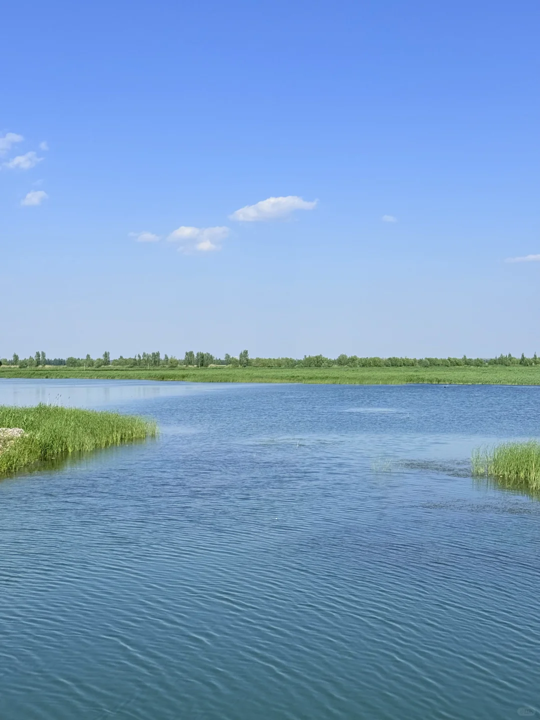 北京🚗1h|雄安白洋淀2天1夜免费景点全攻略