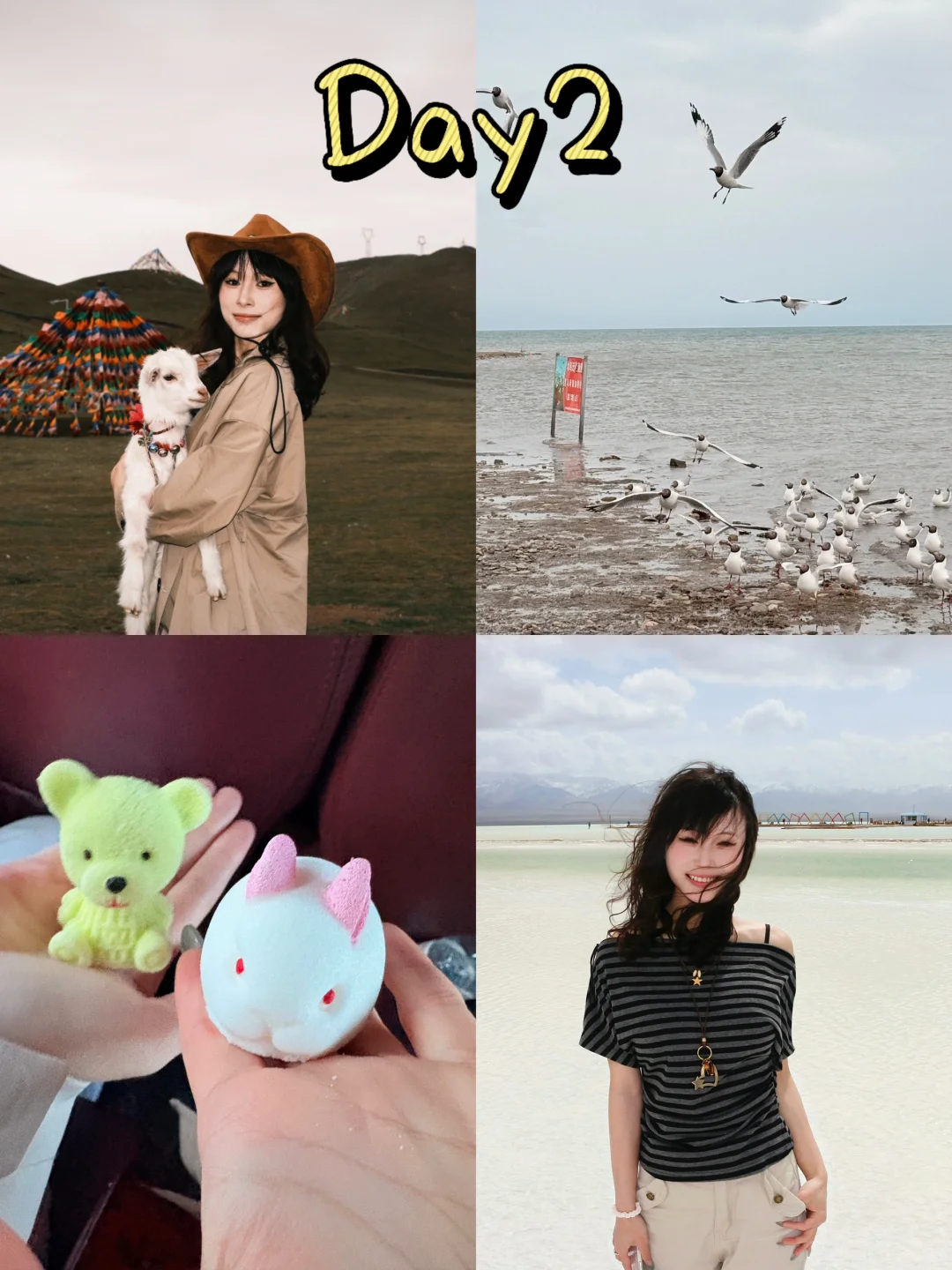 不自驾不包车西北旅游攻略（含费用）