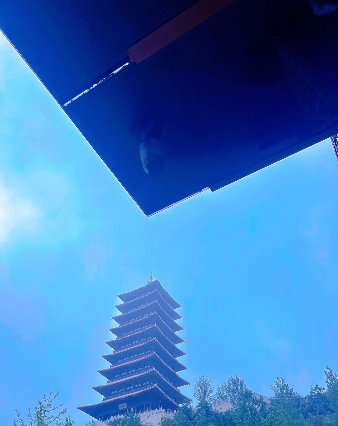 景区怎么全都免票！