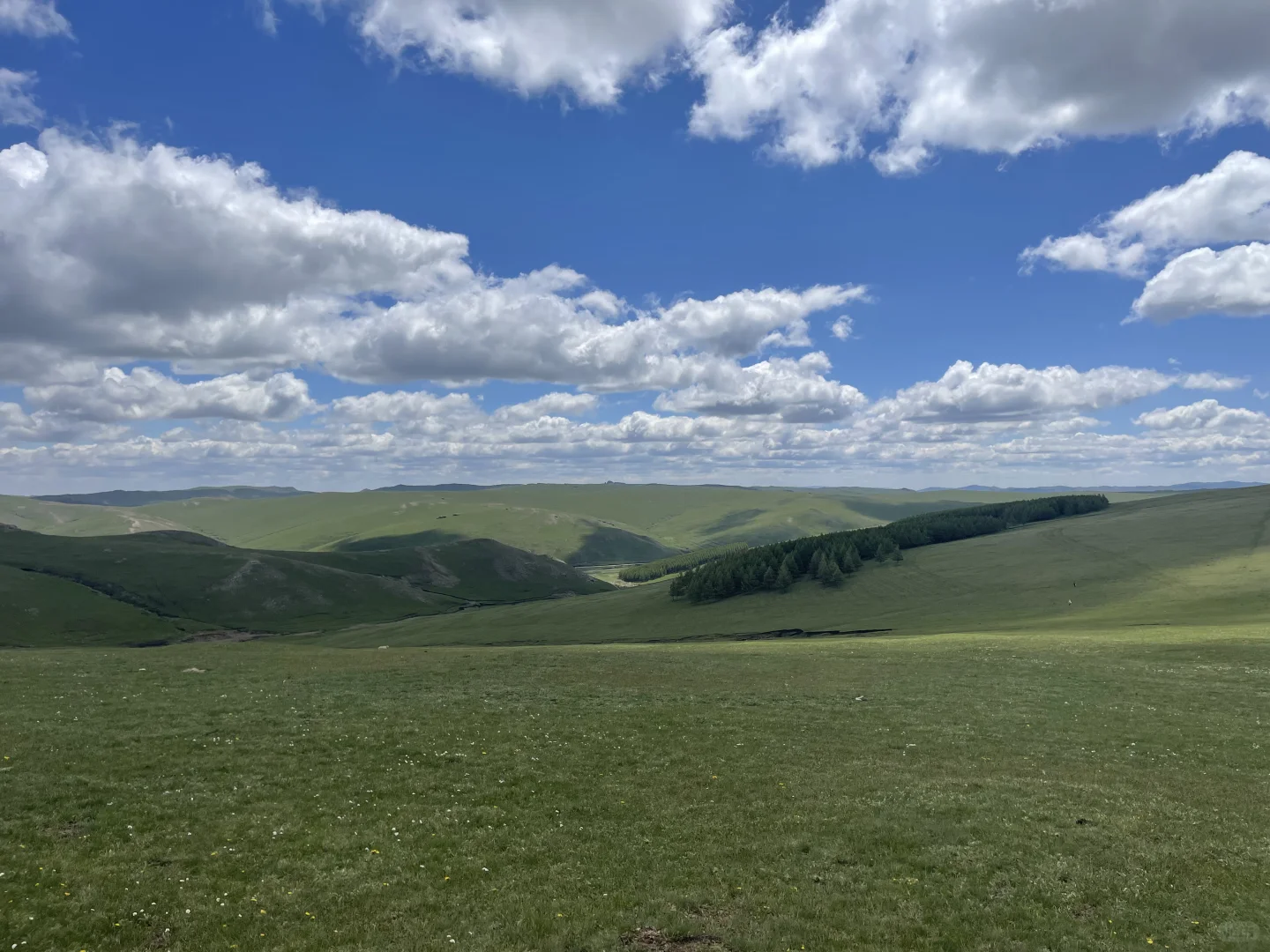 内蒙古有自己的阿勒泰-红石崖