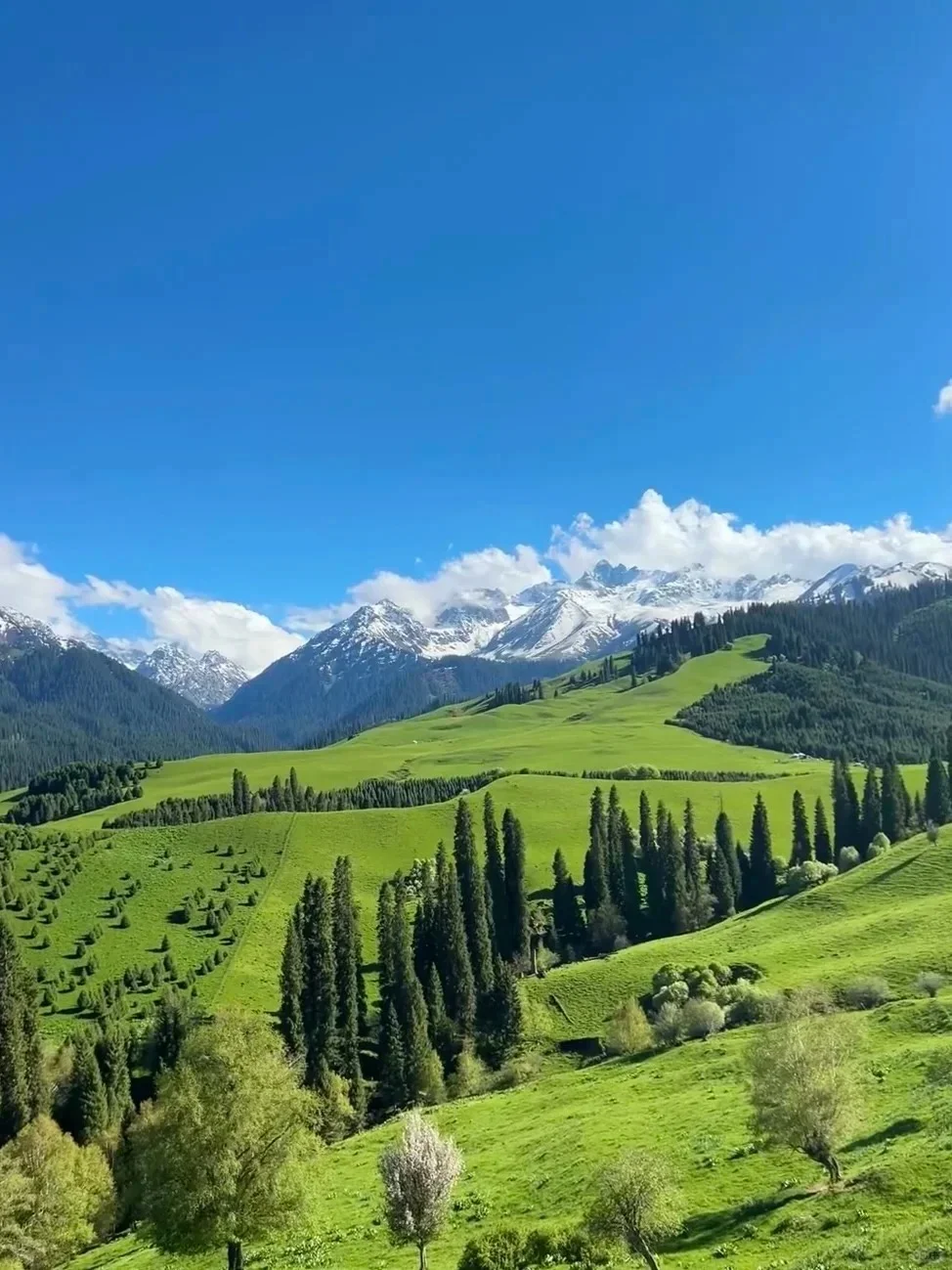 真心劝大家去新疆时别化妆了😭