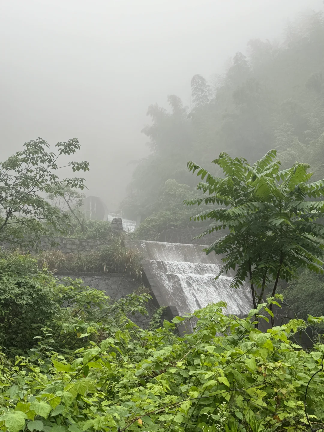 安吉 假期逃离城市的三天