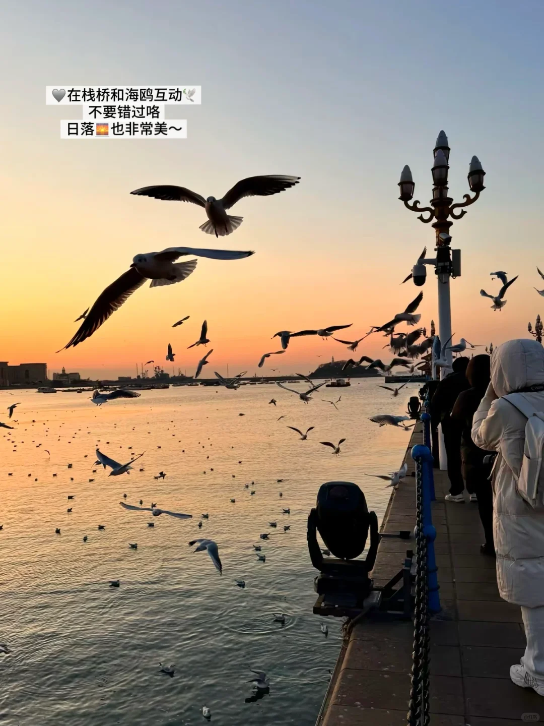 不在马尔代夫而是在山东!快码住这份攻略🏝️