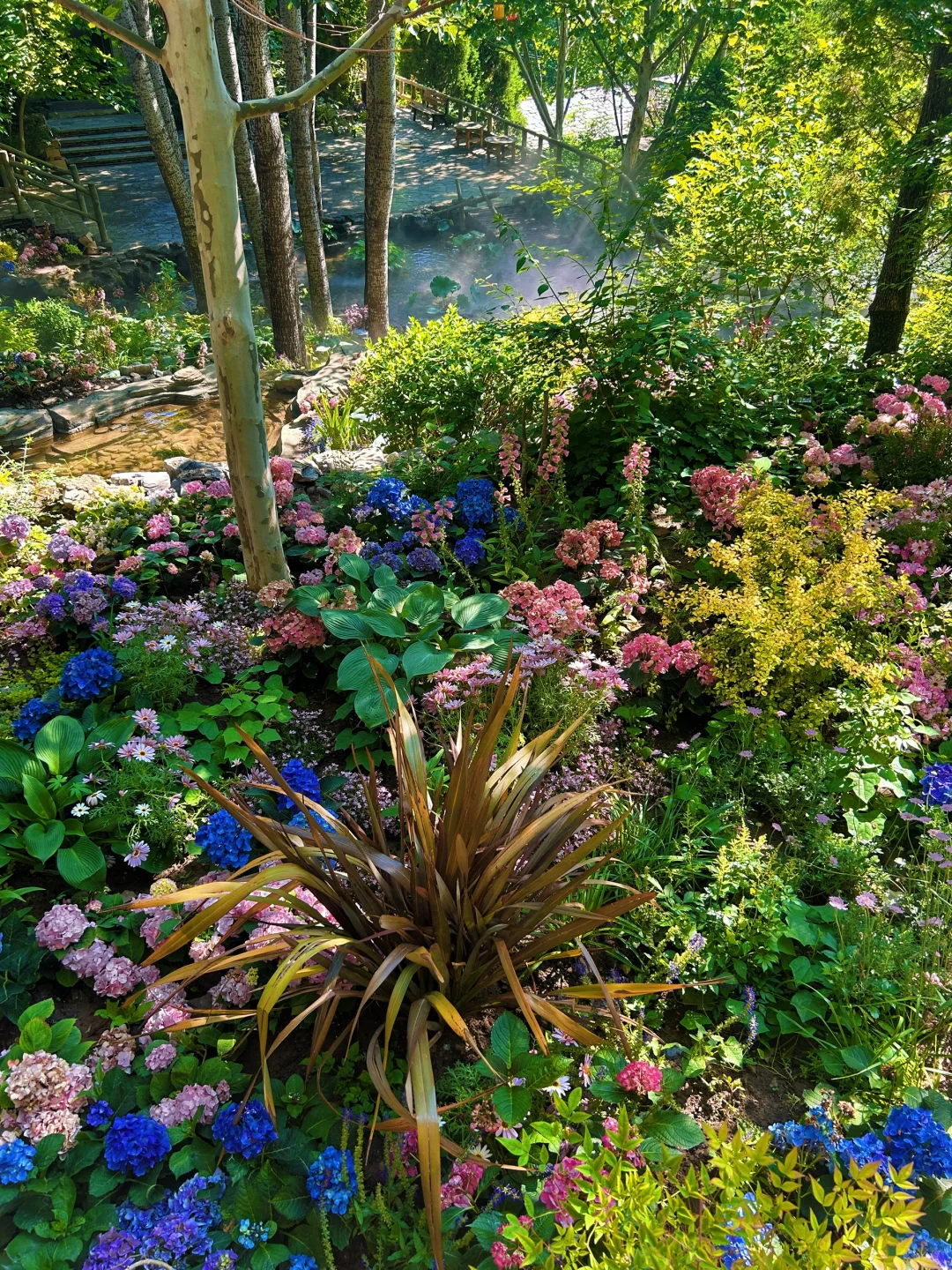 美哭了😭，拍到了同款莫奈花园，亲子友好