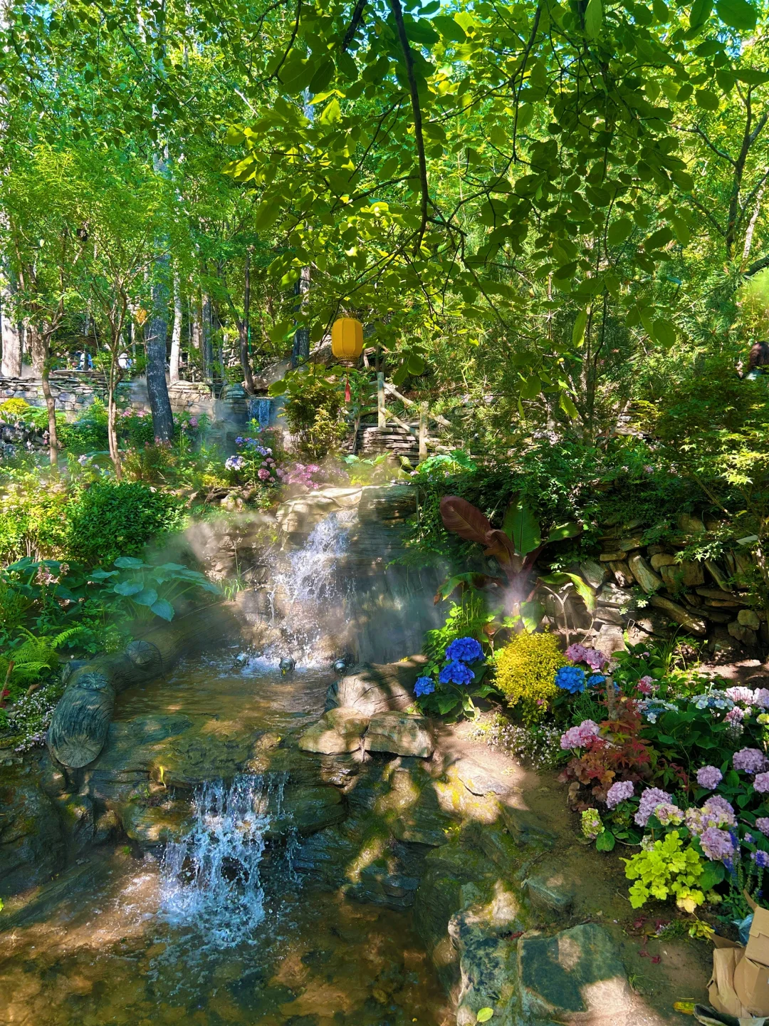 美哭了😭，拍到了同款莫奈花园，亲子友好