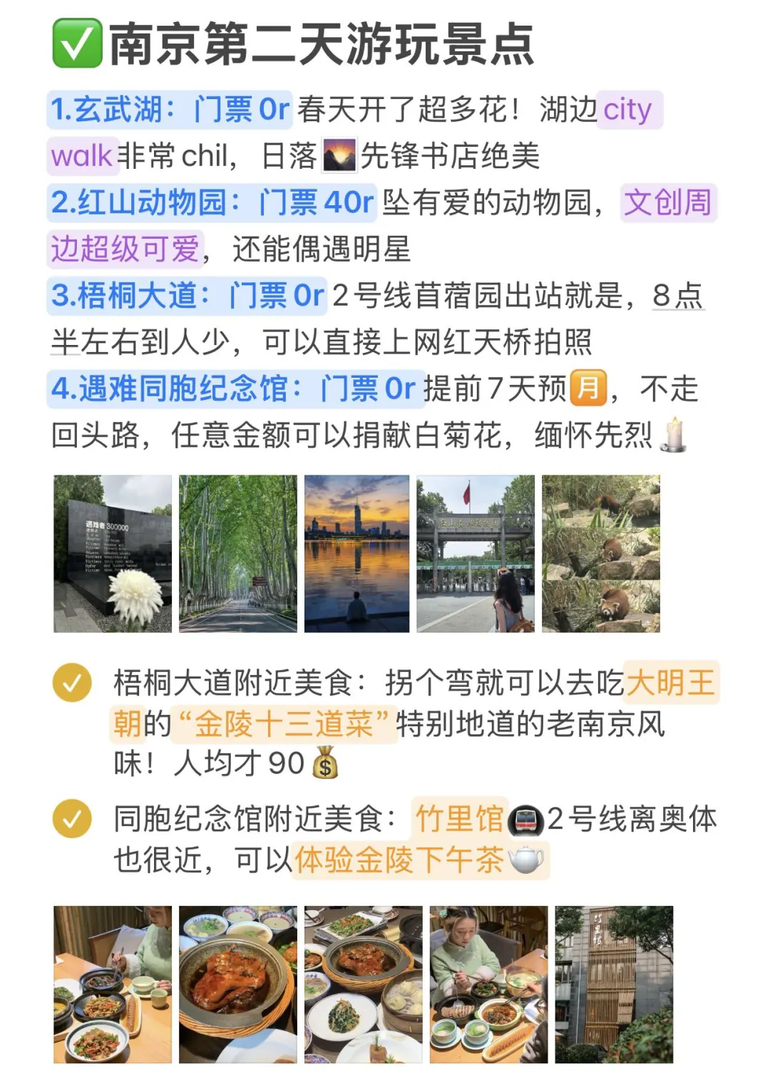 J人总结的自用南京攻略｜P人直接抄