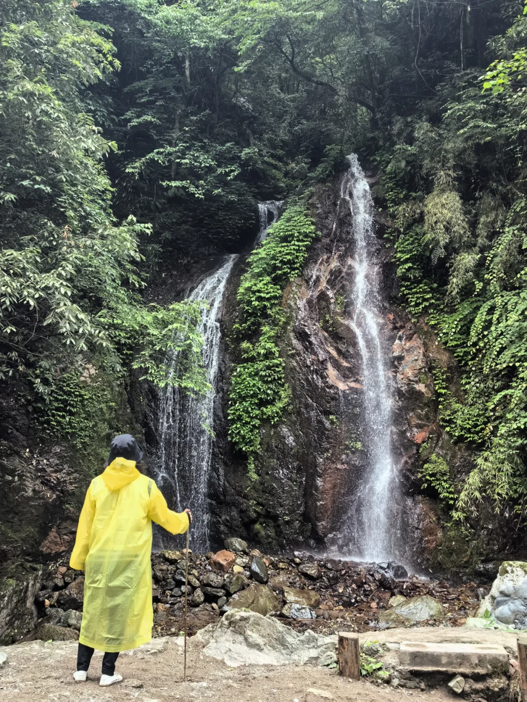大邑大飞水亲子游—风中摇曳的百合花