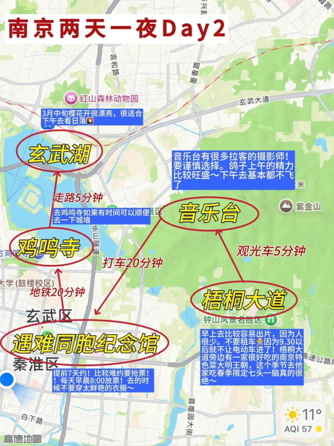3-5月来南京🔥两天一夜省心游玩攻略✅