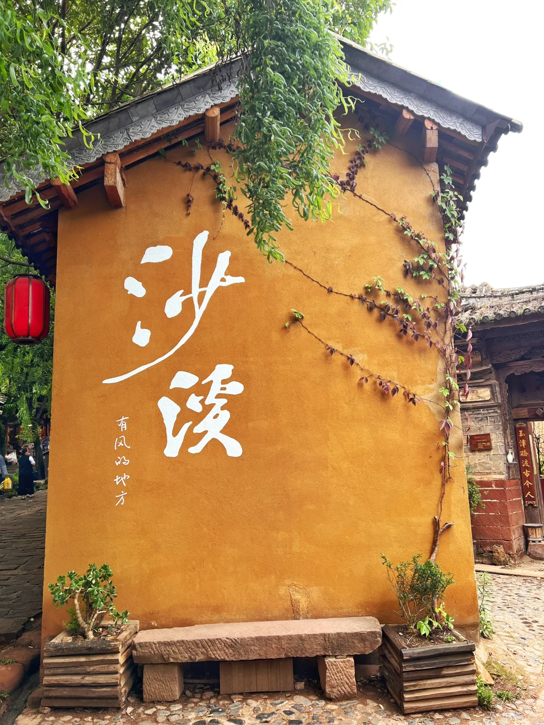 大理这天气可太好了