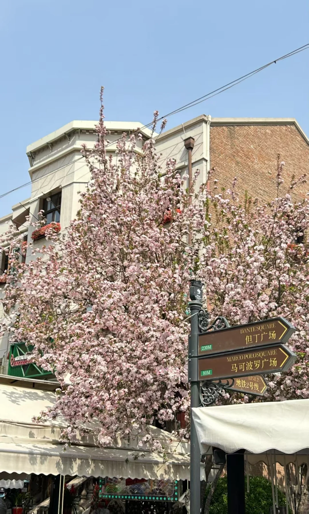 粽情端午，邂逅天津：景点美食住宿全指南