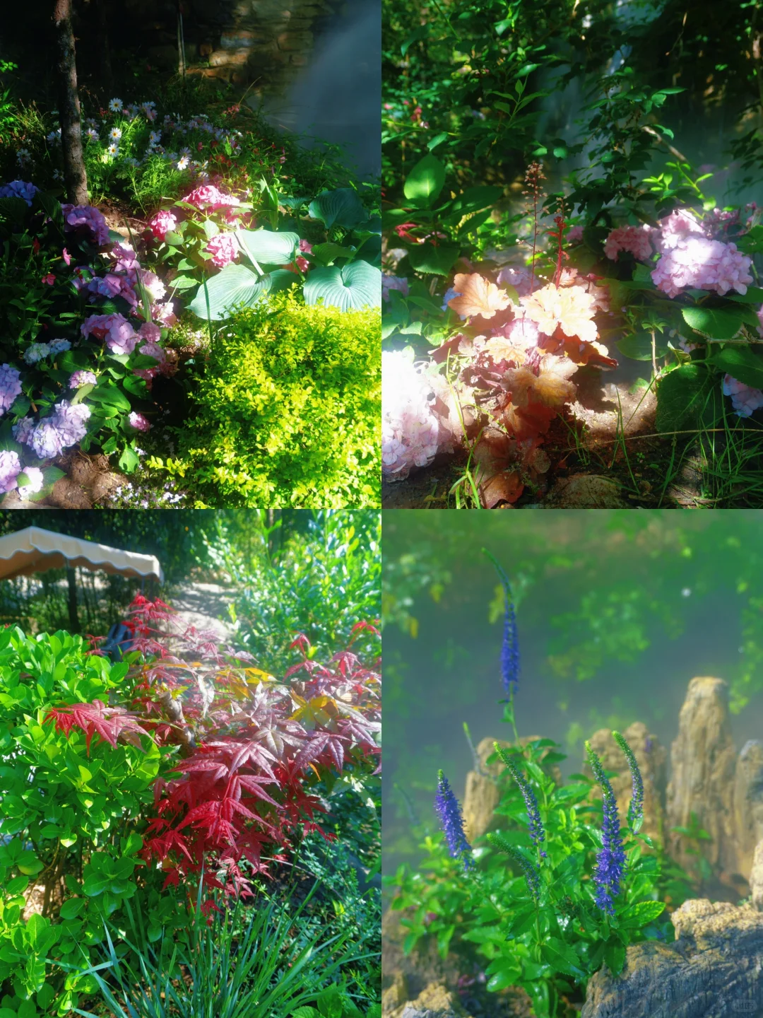 美哭了😭，拍到了同款莫奈花园，亲子友好