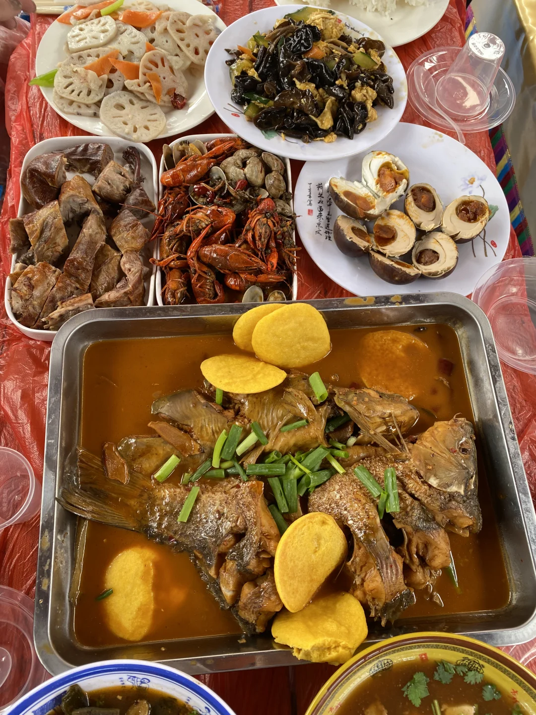 🌾【白洋淀|躲进北国的水乡诗笺里】🌤️