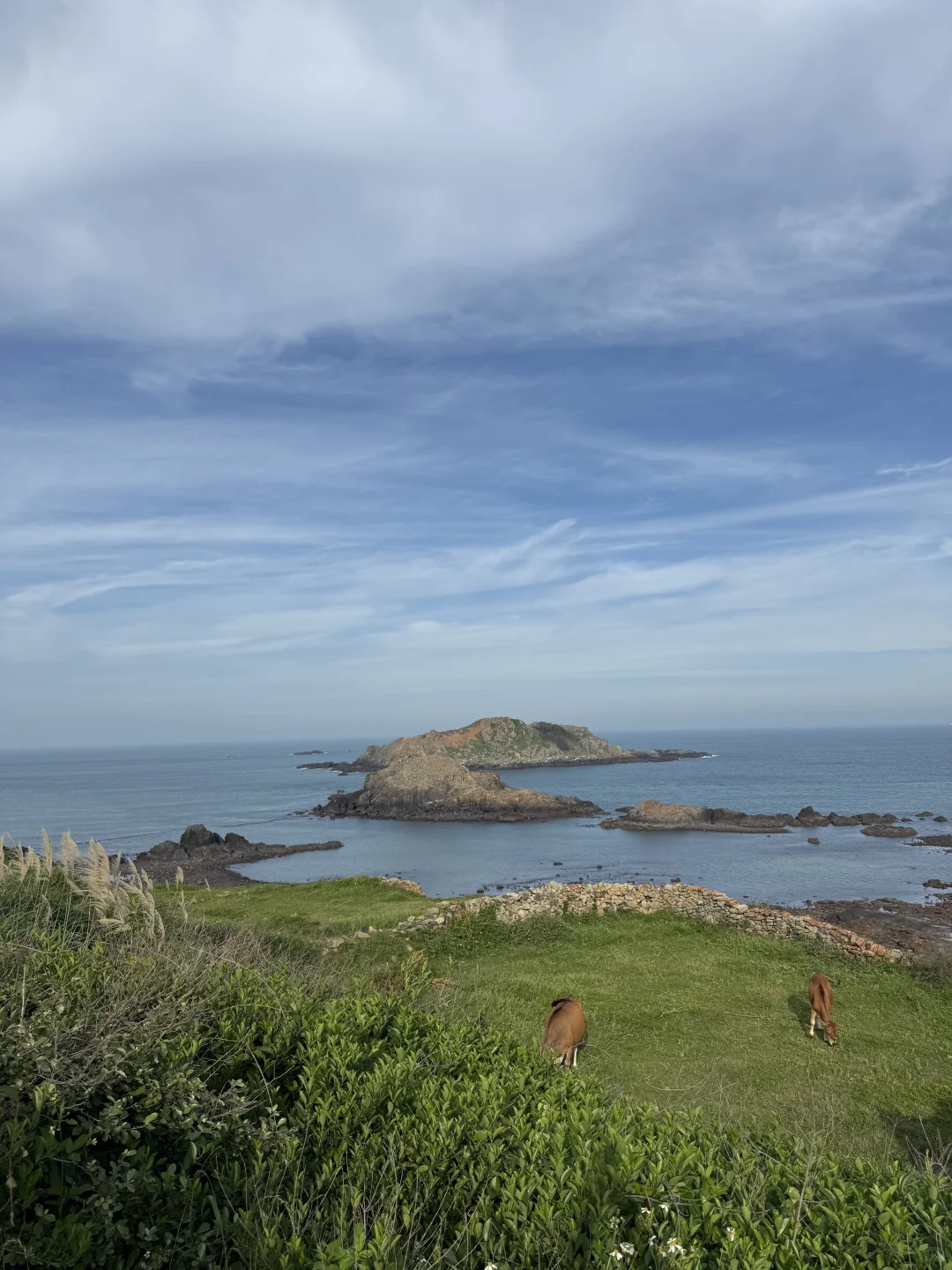 📍东庠岛｜很治愈的地方
