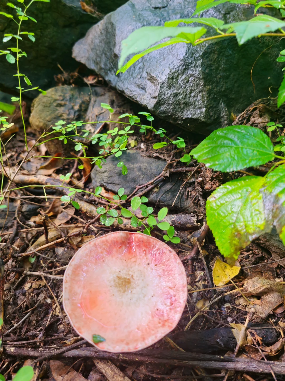 周末徒步！石家庄8条宝藏亲子爬山路线！