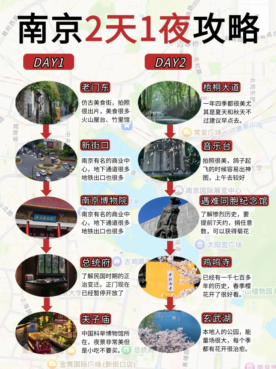 3-5月来南京🔥两天一夜省心游玩攻略✅