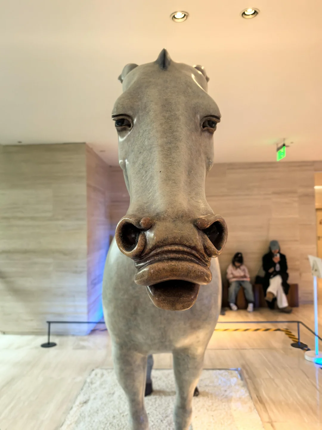 景区怎么全都免票！