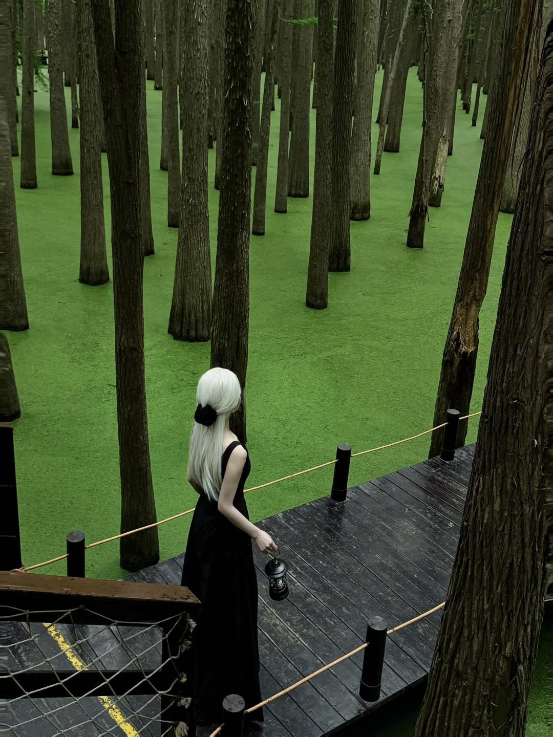 杭州青山湖真的绿啦🍃（附攻略）