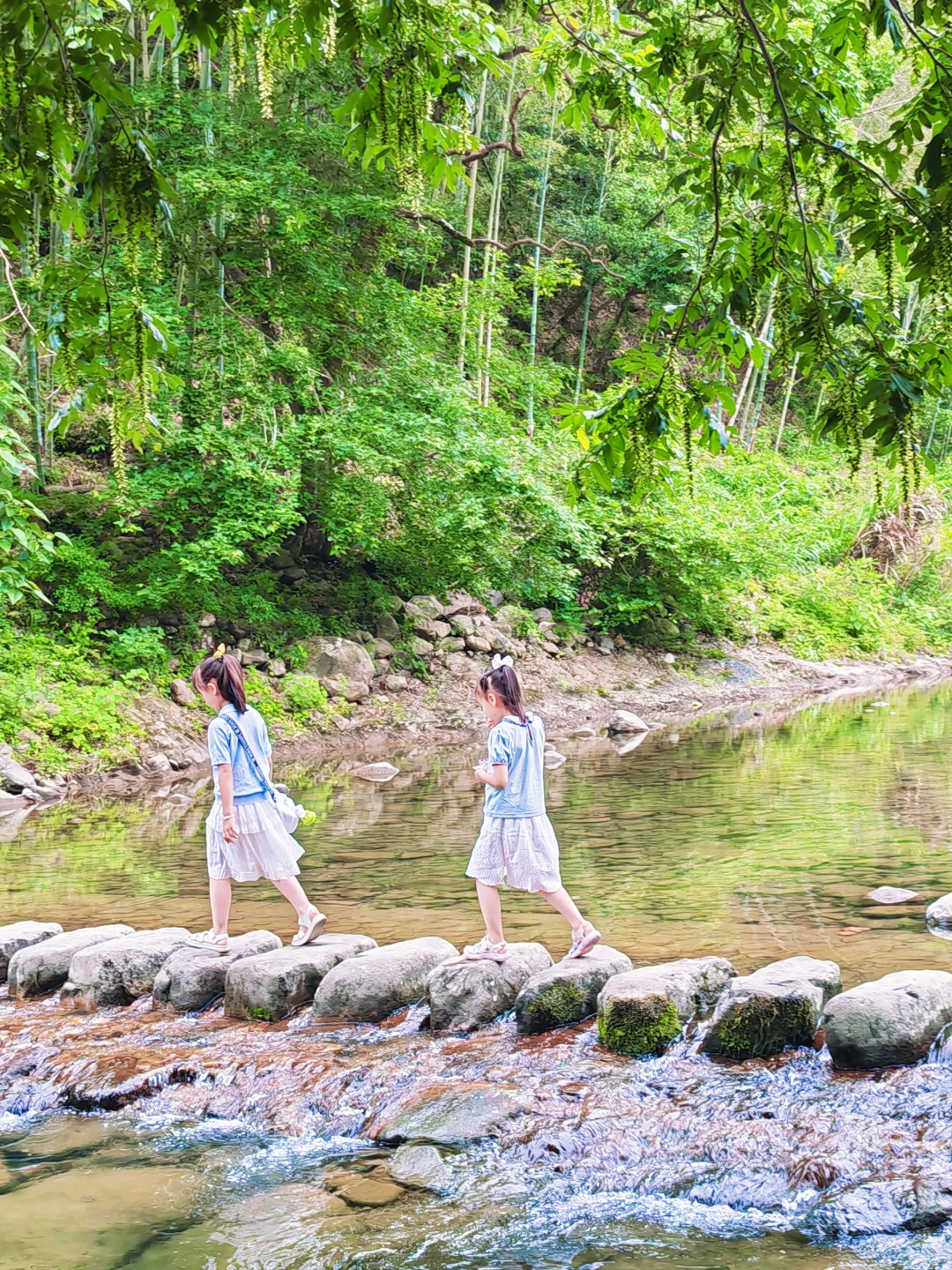 坐拥人间绝美，溪水摇篮🌲🌲