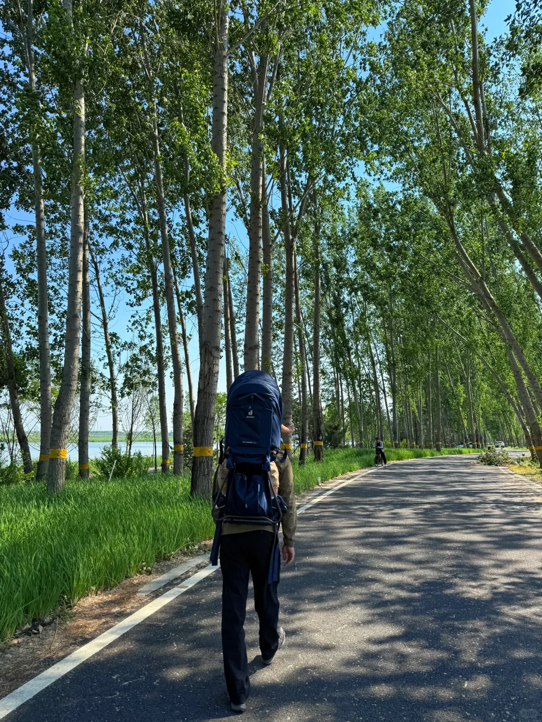 北京🚗1h|雄安白洋淀2天1夜免费景点全攻略