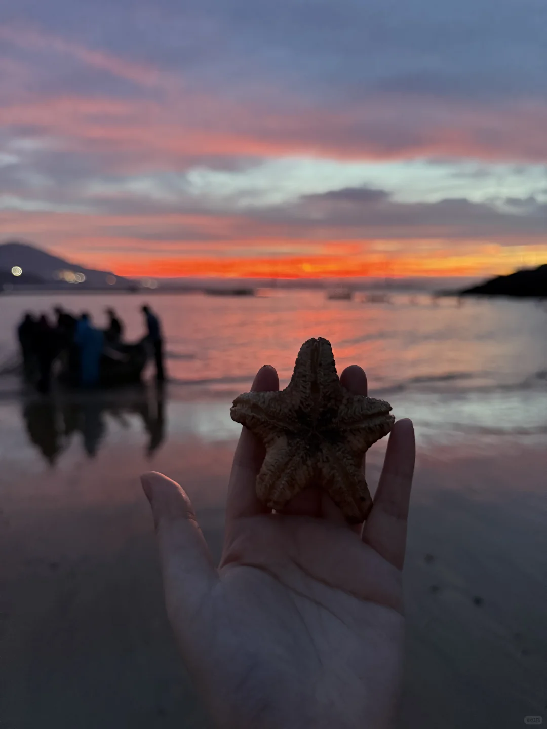 📍东庠岛｜很治愈的地方