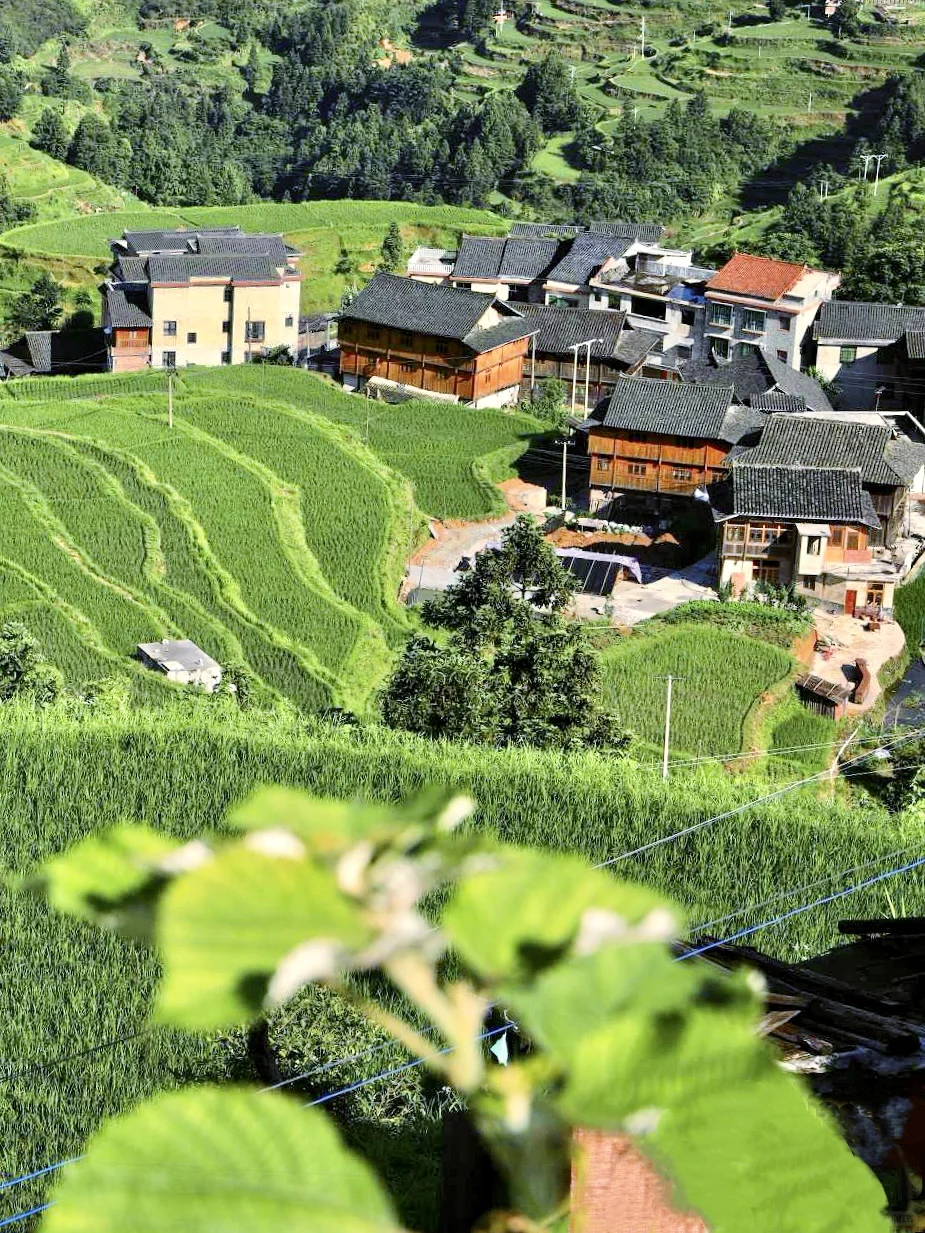 高铁直达🚝端午一定要来这个避世古村躺平