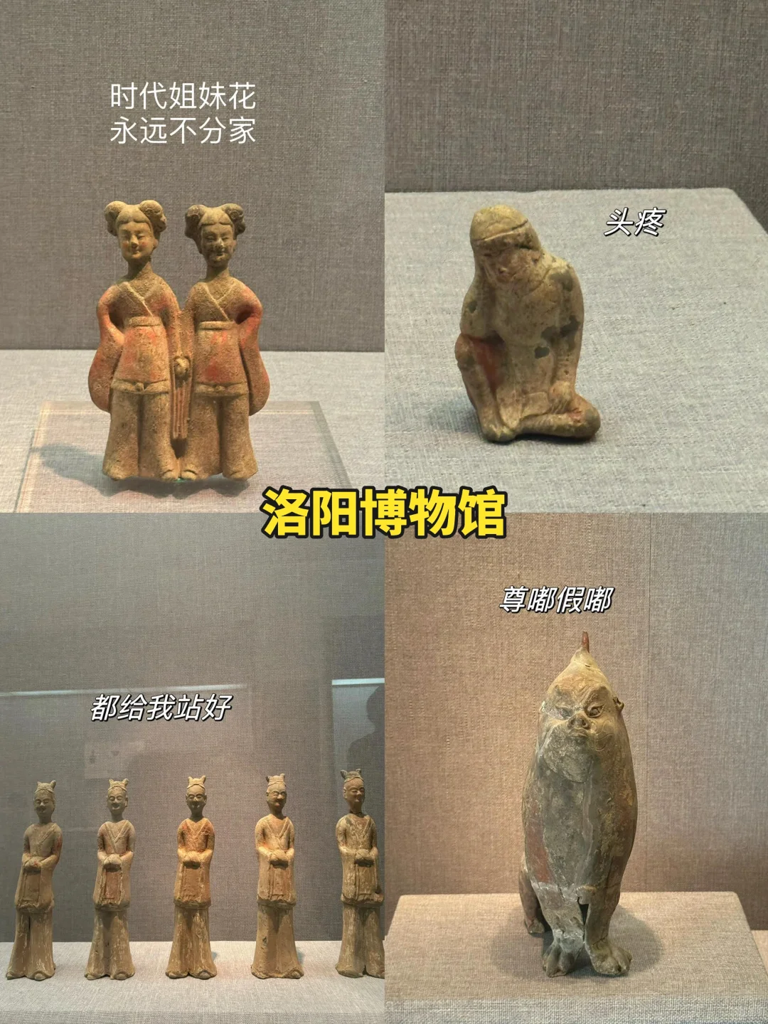 暑假洛阳4日游✅超值得打卡的景点｜先🐎后看