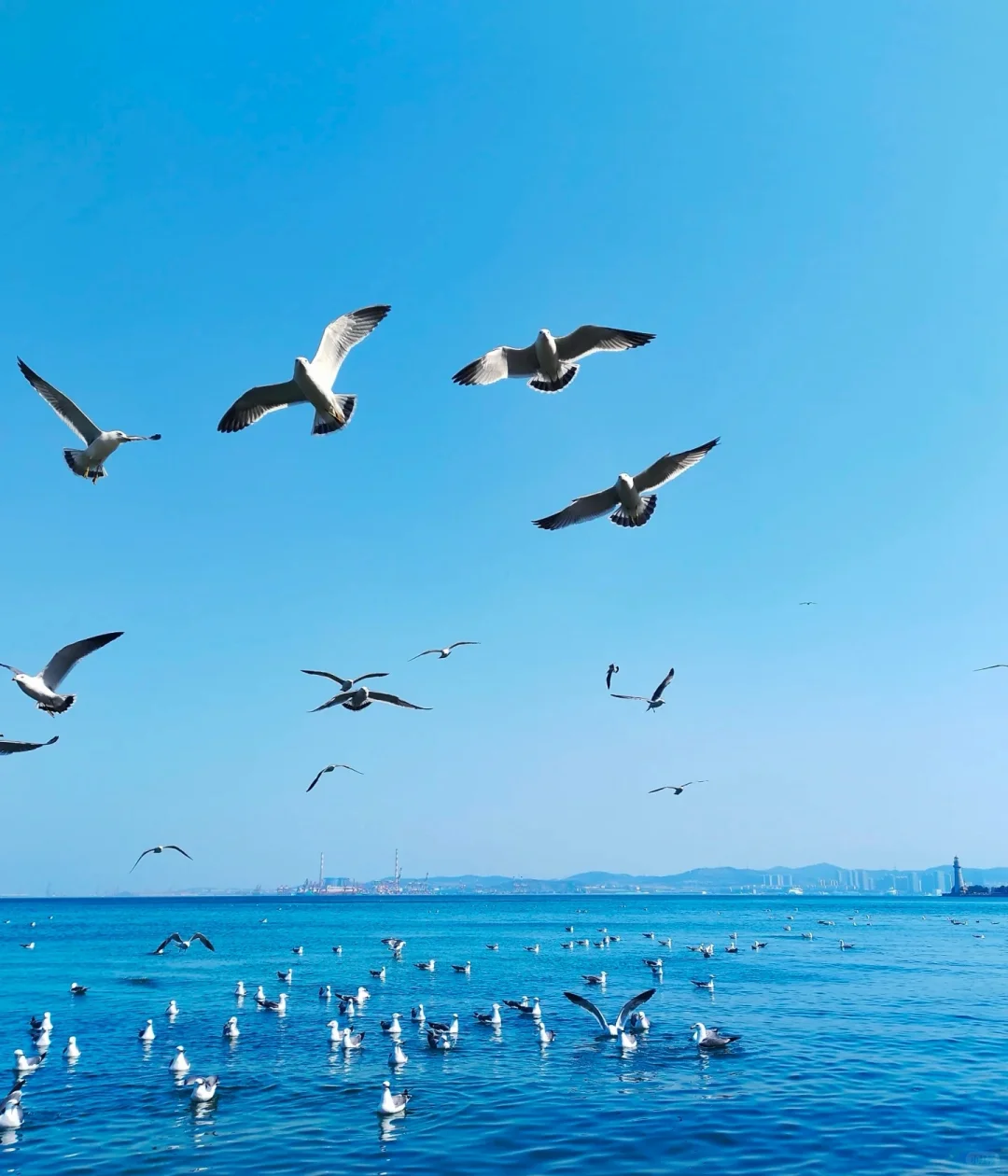 威海，我爱的家乡