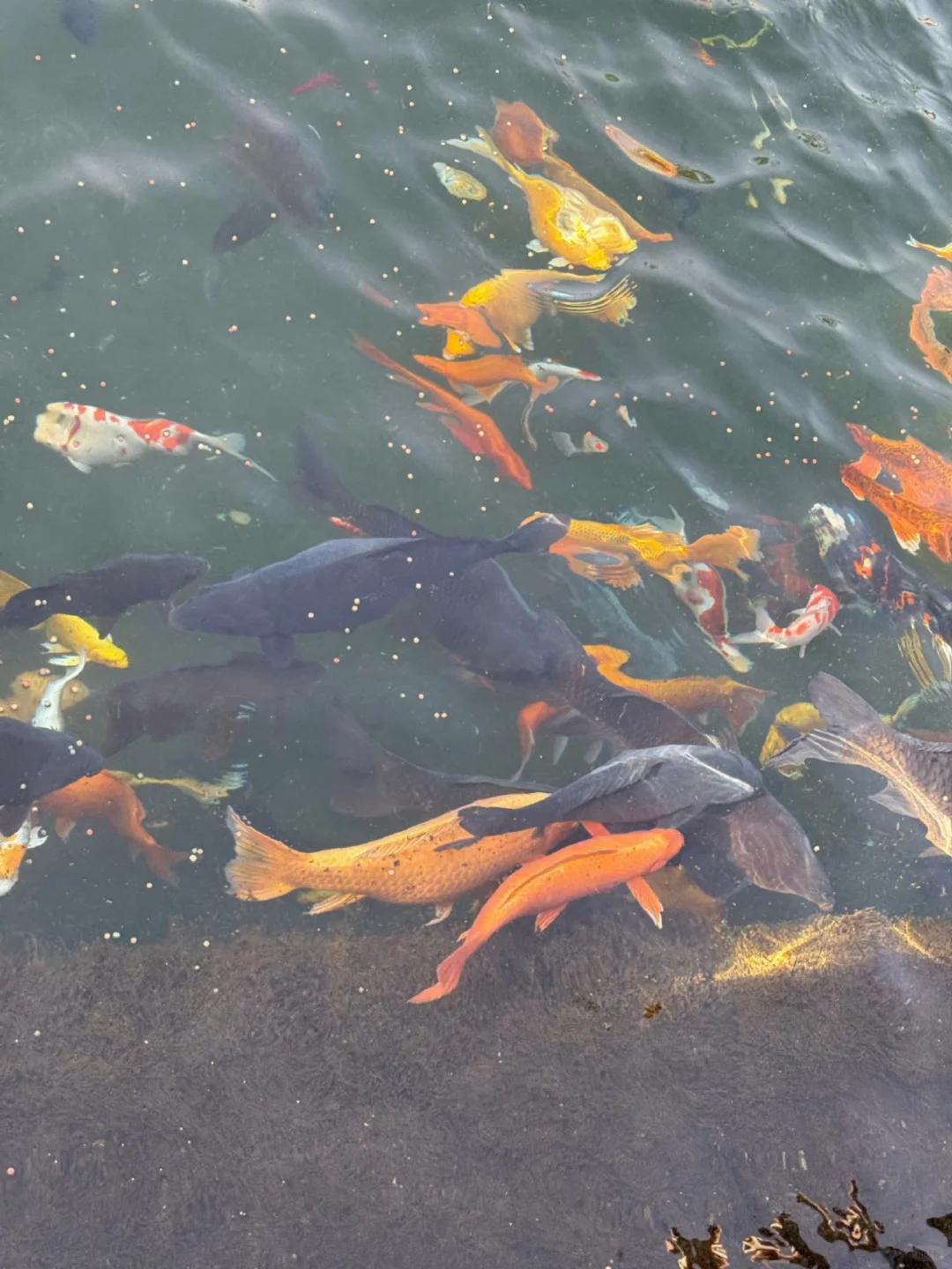 04女大📍济南两日游/附精华版不绕路攻略~