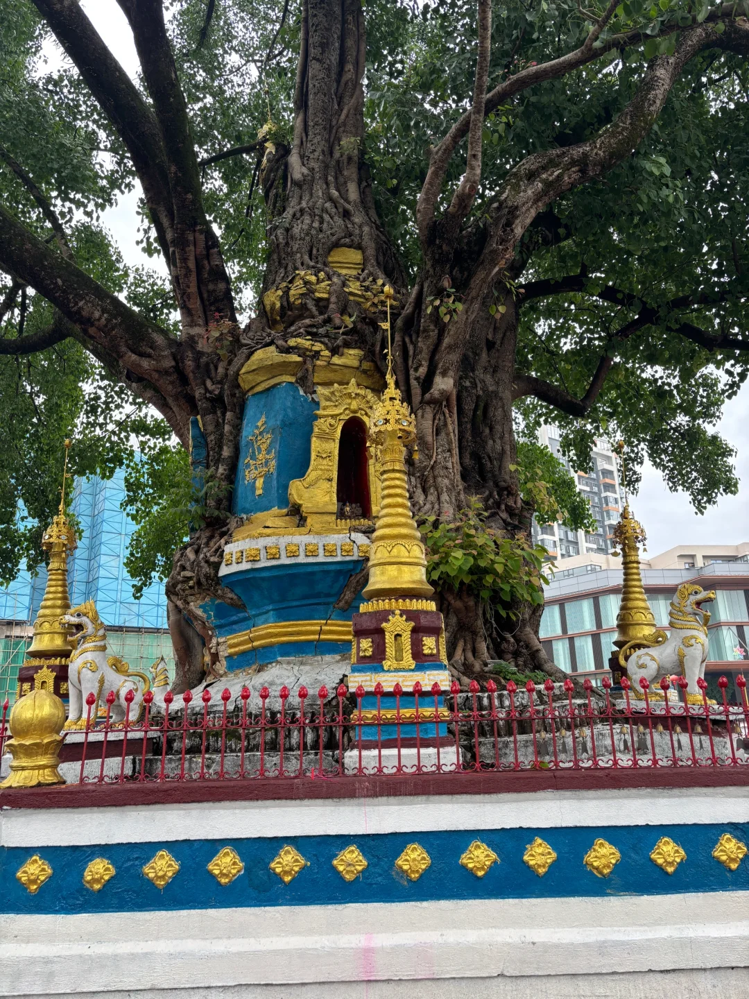 来芒市打卡了什么景点