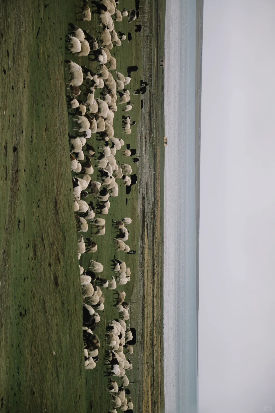 不自驾不包车西北旅游攻略（含费用）