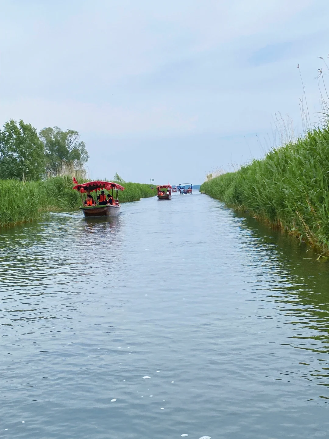 🌾【白洋淀|躲进北国的水乡诗笺里】🌤️