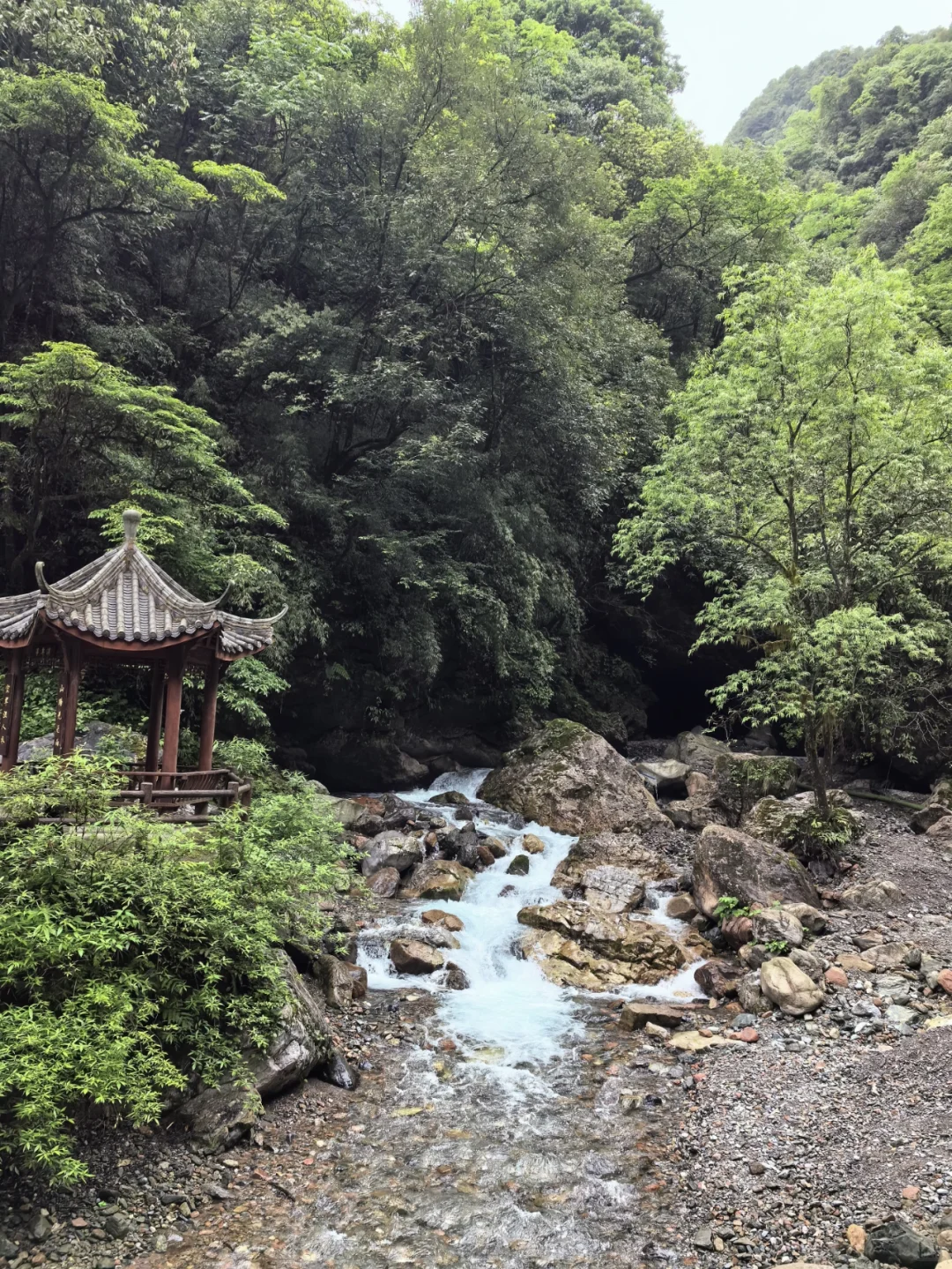 大邑大飞水亲子游—风中摇曳的百合花
