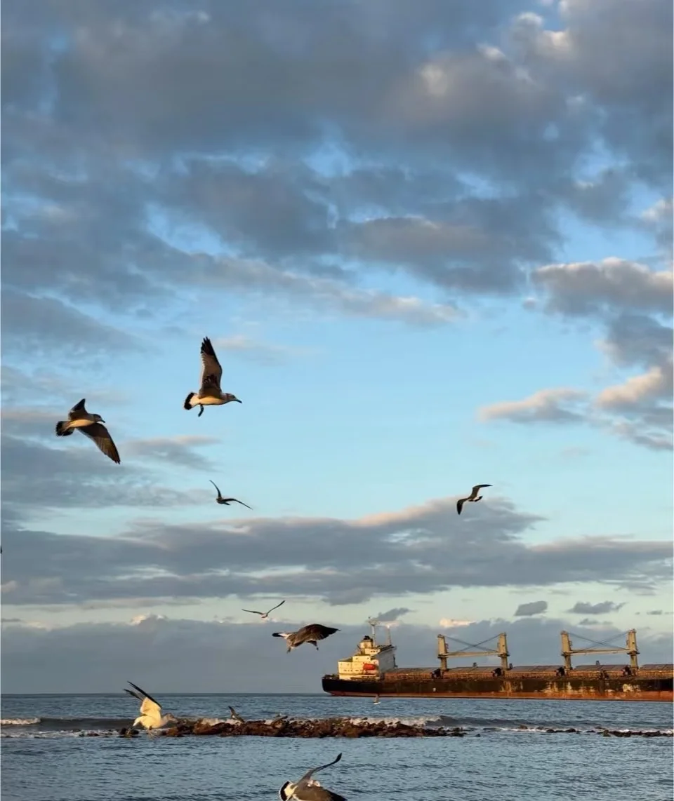 威海，我爱的家乡