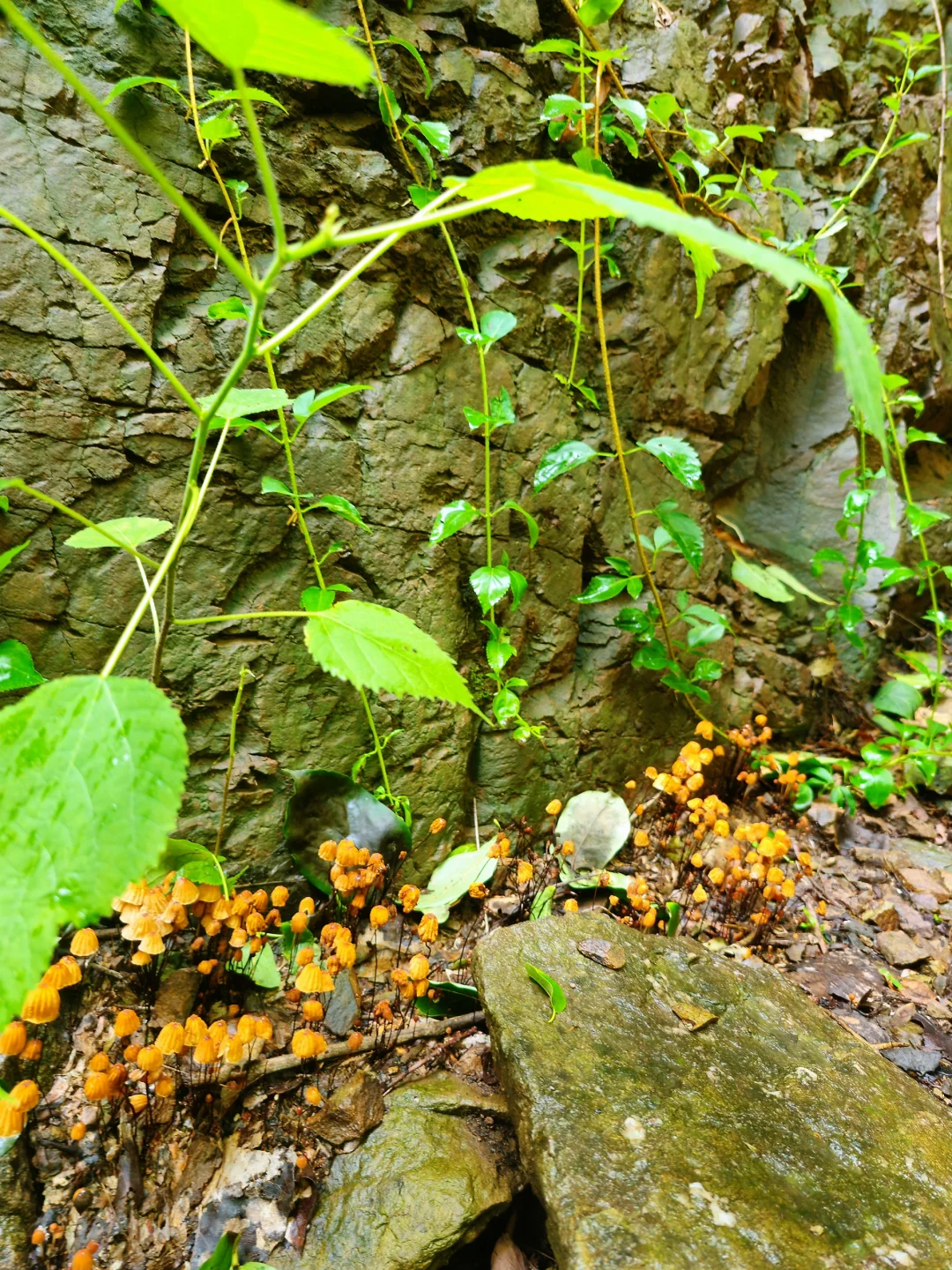 周末徒步！石家庄8条宝藏亲子爬山路线！