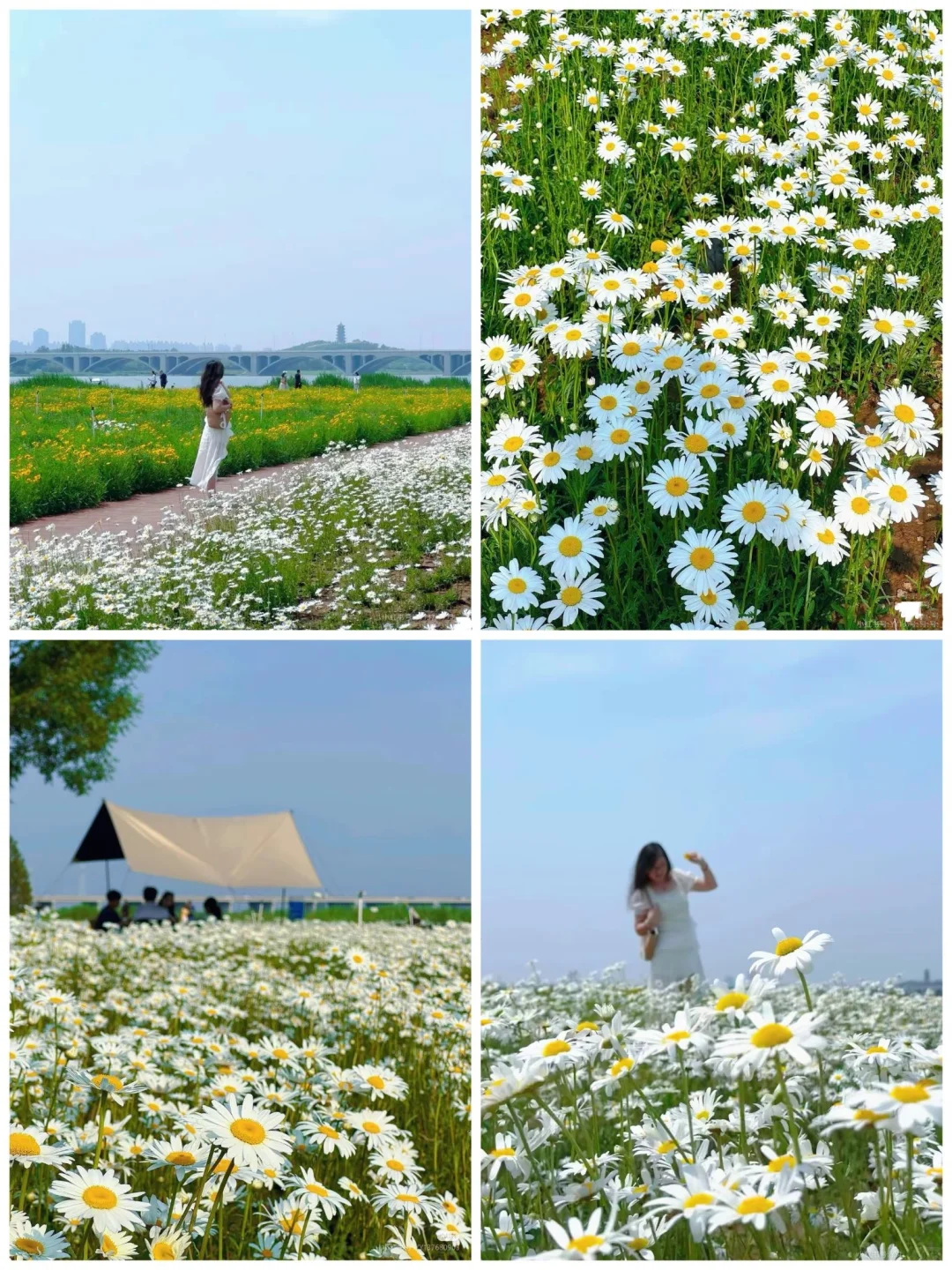 石家庄周边宝藏露营地🔥太适合躺平发呆了