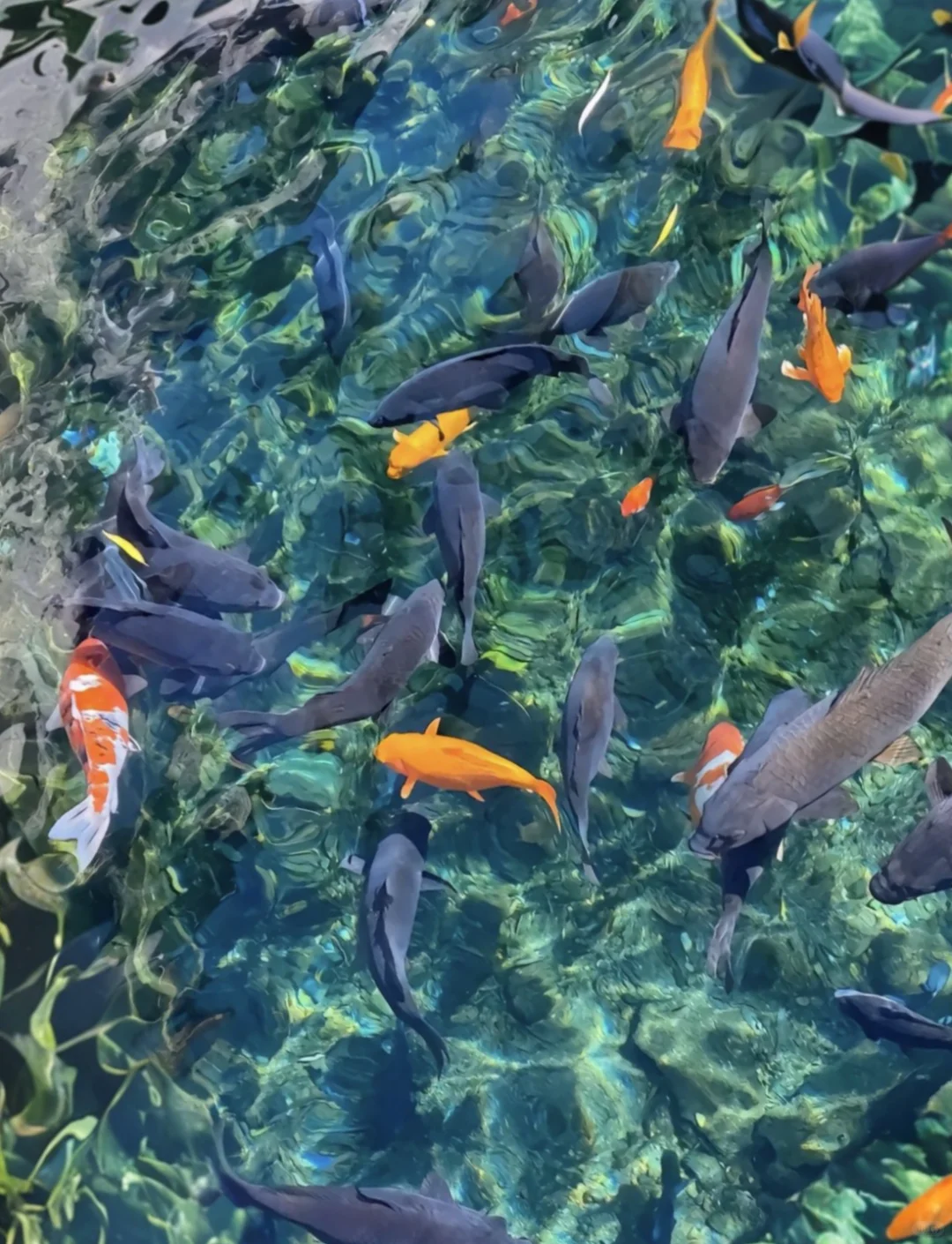 04女大📍济南两日游/附精华版不绕路攻略~