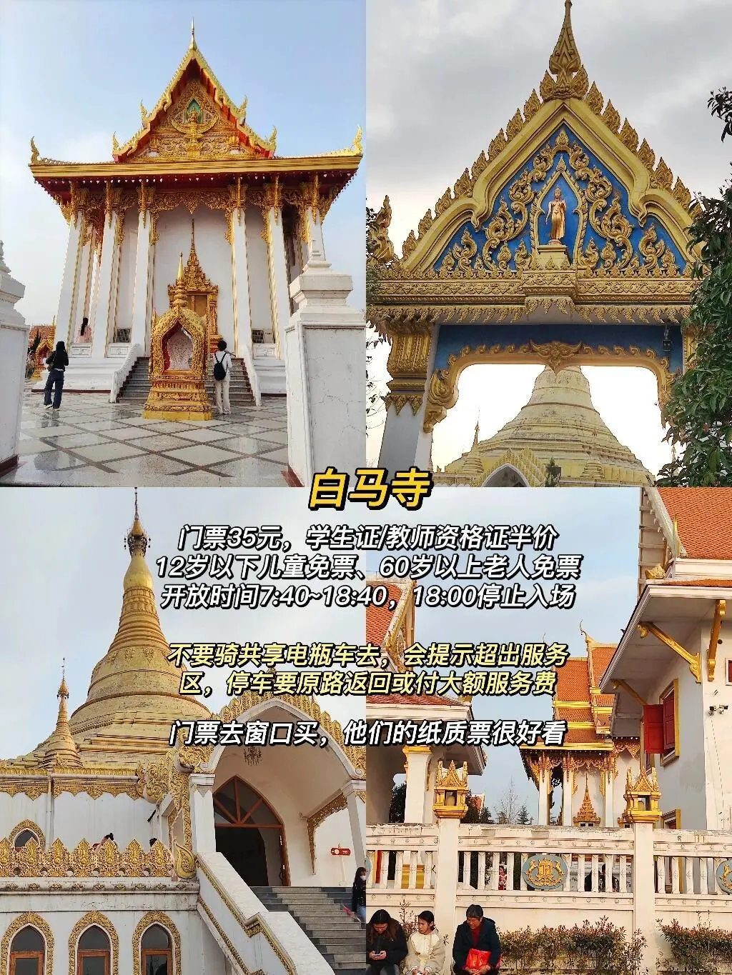 暑假洛阳4日游✅超值得打卡的景点｜先🐎后看