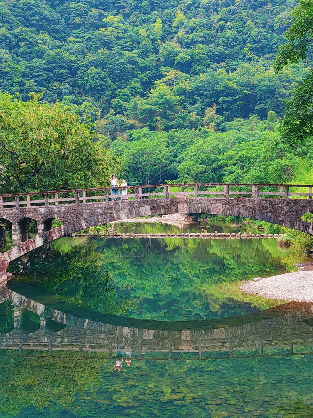 坐拥人间绝美，溪水摇篮🌲🌲