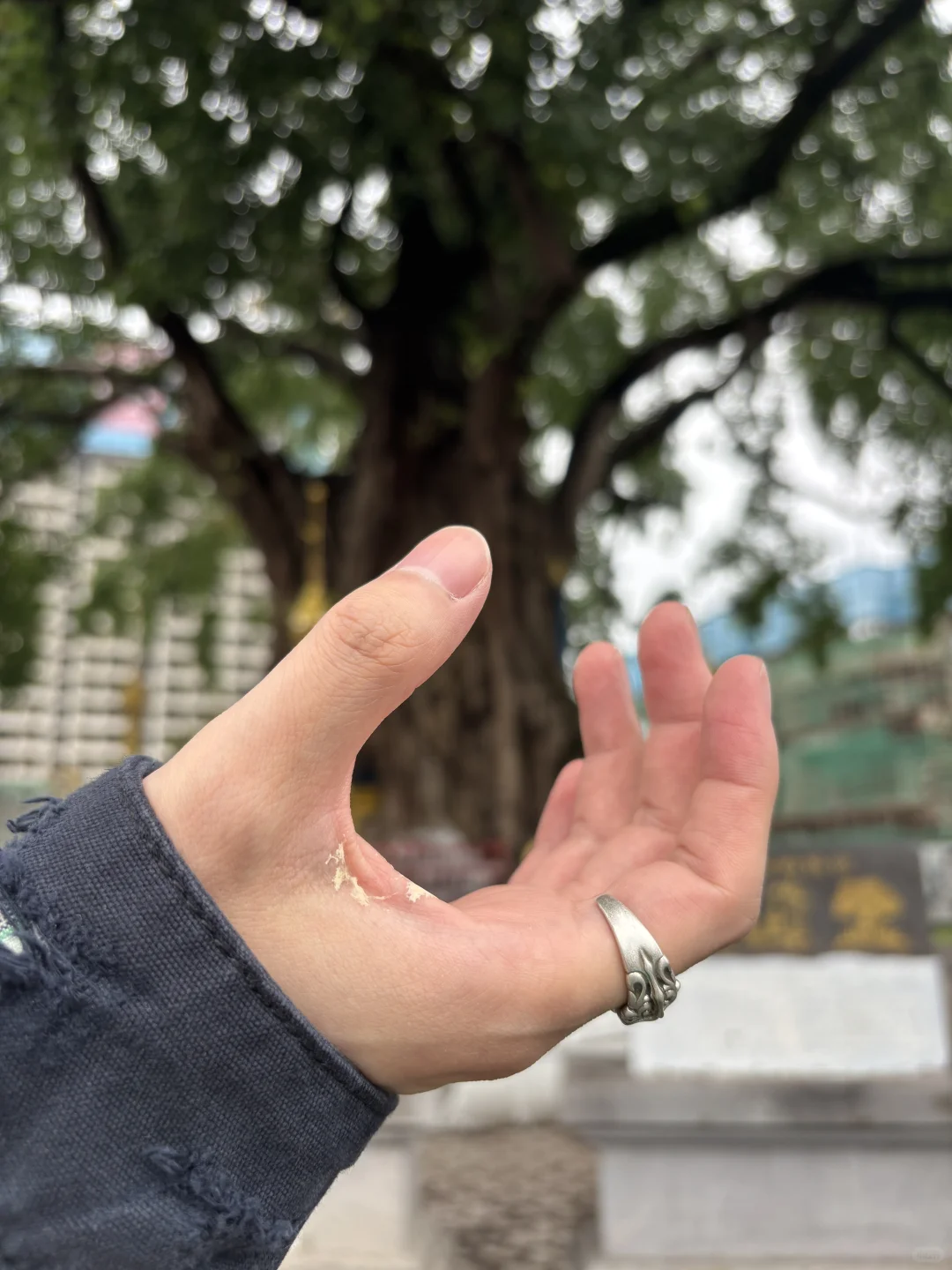 来芒市打卡了什么景点