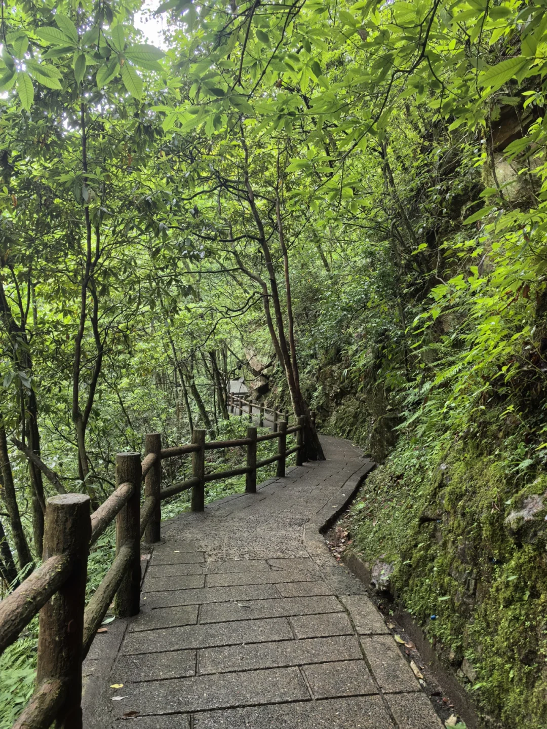 大邑大飞水亲子游—风中摇曳的百合花