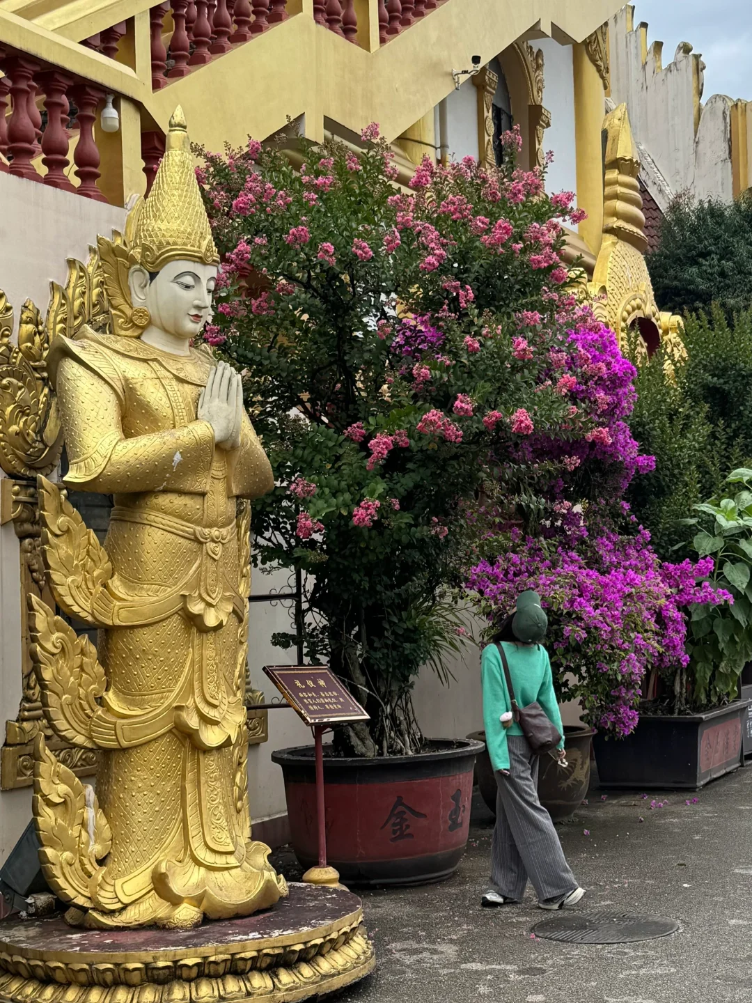 来芒市打卡了什么景点