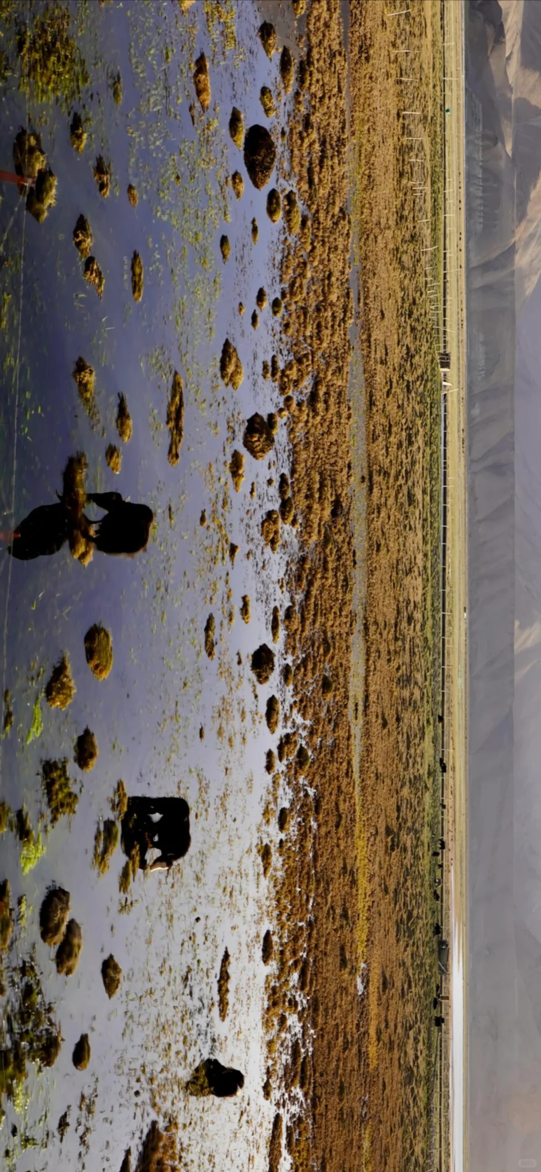 南疆景点红黑榜｜帕米尔高原把我美到失语‼️