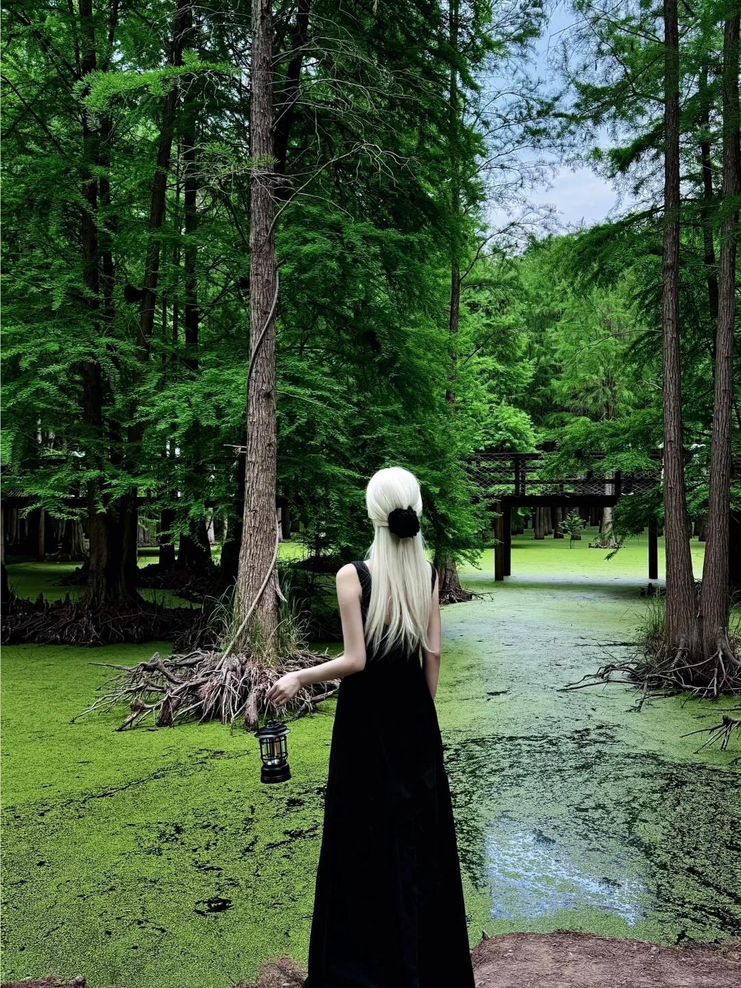 杭州青山湖真的绿啦🍃（附攻略）