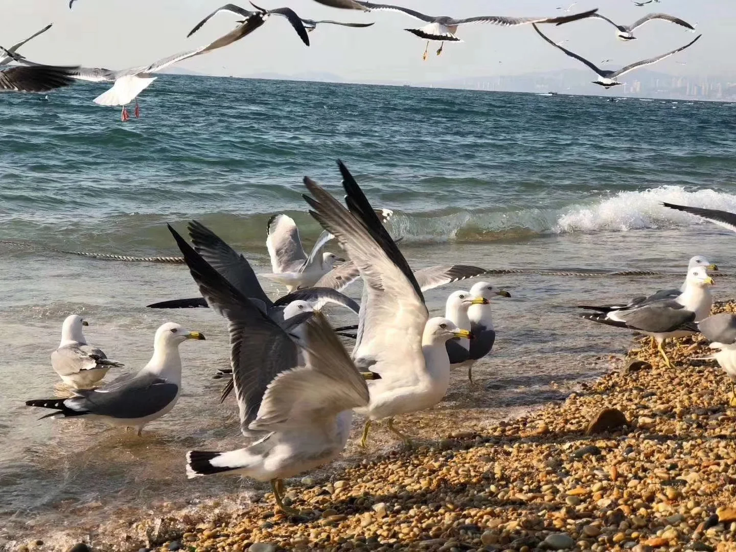 大连必去景点～