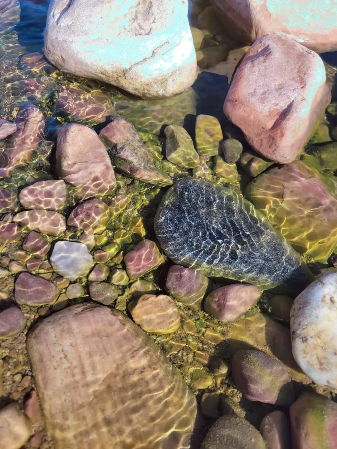 邢台周边免费捞鱼摸虾