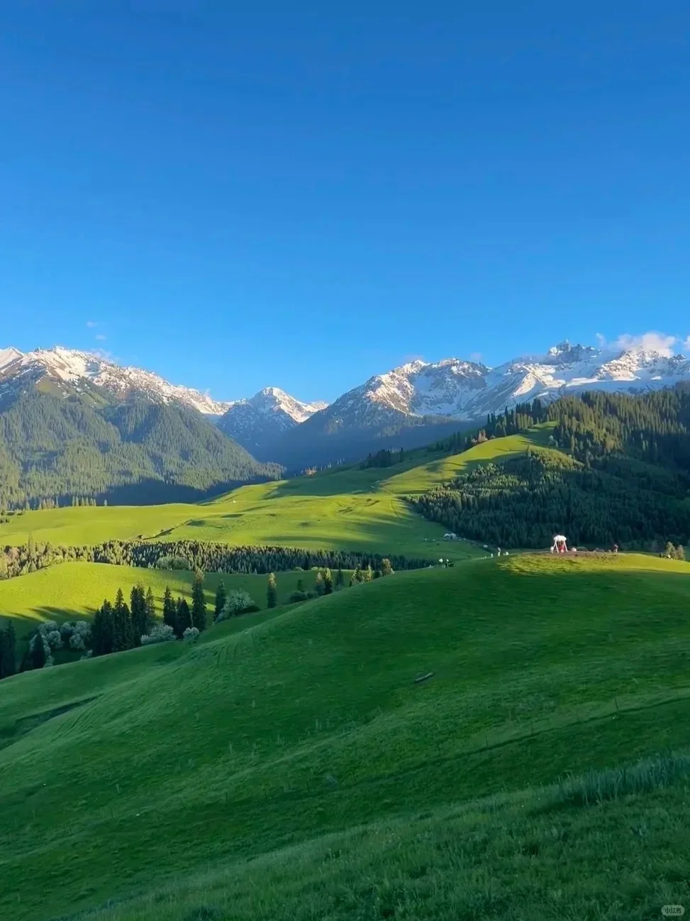 真心劝大家去新疆时别化妆了😭